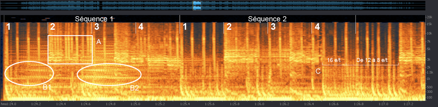 Figure 2 : Spectrogramme extrait de « Rok 824545201 ».